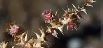 我拿什么拯救你的歌词(我拿什么拯救你歌词孙楠) 孙楠 第6张