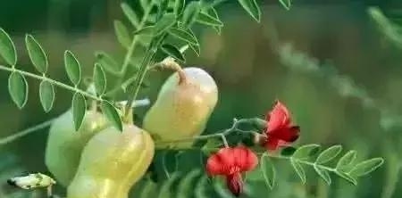 我拿什么拯救你的歌词(我拿什么拯救你歌词孙楠) 孙楠 第5张