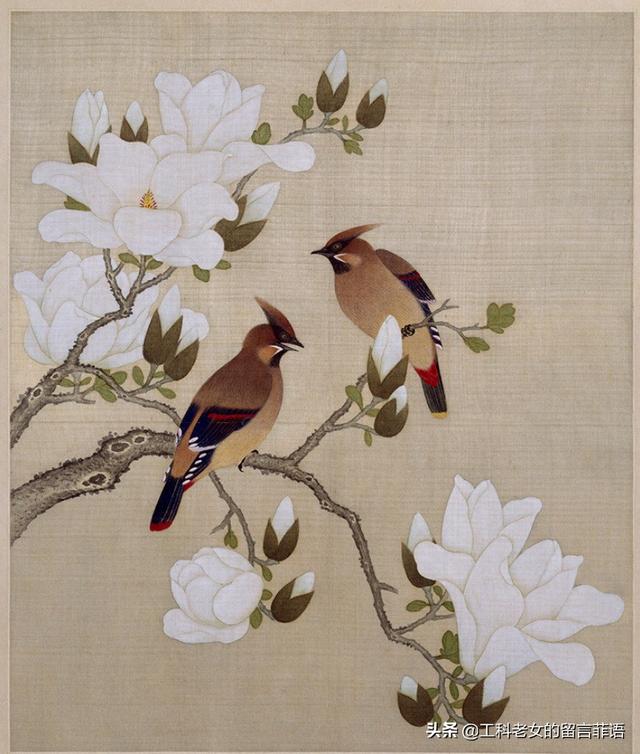 桃李芳菲梨花笑是什么歌曲（桃李芳菲梨花笑）(17)