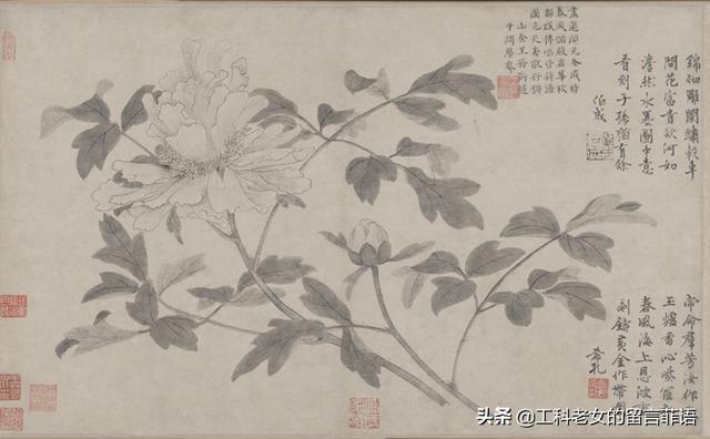 桃李芳菲梨花笑是什么歌曲（桃李芳菲梨花笑）(10)