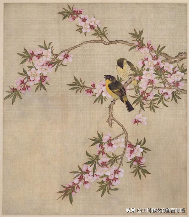 桃李芳菲梨花笑是什么歌曲（桃李芳菲梨花笑）(15)