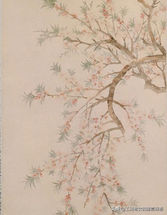 桃李芳菲梨花笑是什么歌曲（桃李芳菲梨花笑）(19)