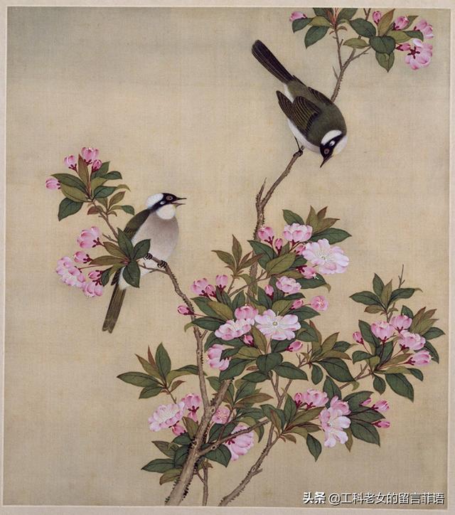 桃李芳菲梨花笑是什么歌曲（桃李芳菲梨花笑）(16)