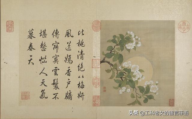 桃李芳菲梨花笑是什么歌曲（桃李芳菲梨花笑）(20)