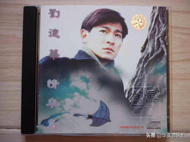 刘德华的全部歌曲都有哪些（刘德华的歌你都听过吗）(32)