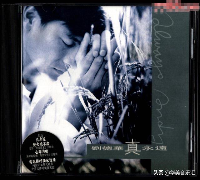 刘德华的全部歌曲都有哪些（刘德华的歌你都听过吗）(34)