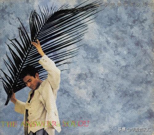 刘德华的全部歌曲都有哪些（刘德华的歌你都听过吗）(18)