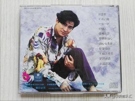 刘德华的全部歌曲都有哪些（刘德华的歌你都听过吗）(21)