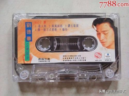 刘德华的全部歌曲都有哪些（刘德华的歌你都听过吗）(28)