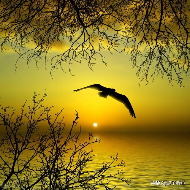 假如爱有天意歌词（假如爱有天意）(10)