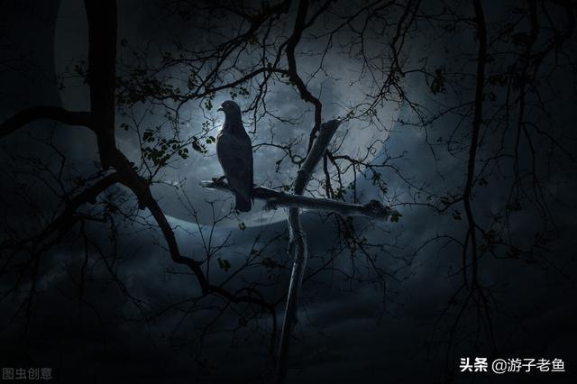 假如爱有天意歌词（假如爱有天意）(6)