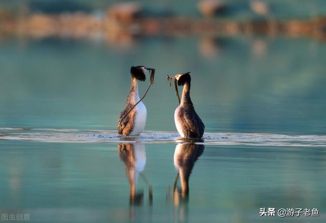 假如爱有天意歌词（假如爱有天意）(15)