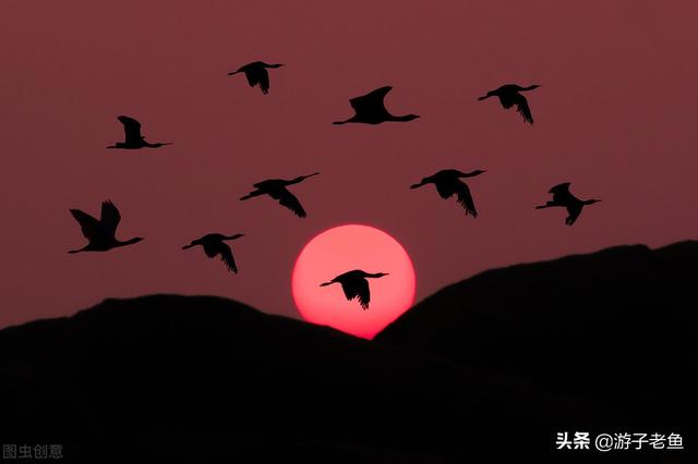 假如爱有天意歌词（假如爱有天意）(14)