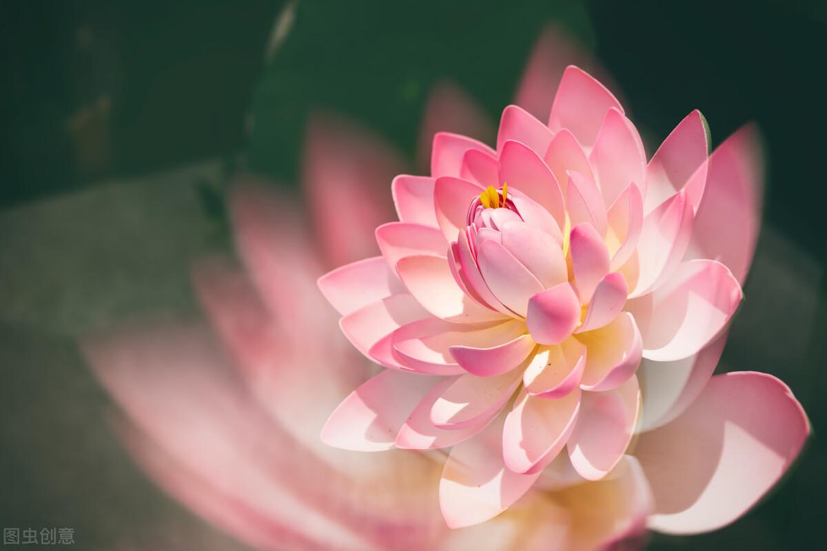 赞美歌颂女性的诗歌（10首赞美女性美的古诗词）