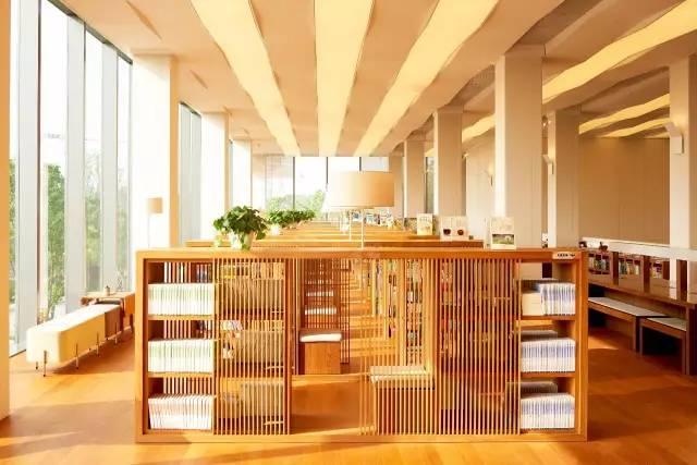 辛晓琪领悟的故事(辛晓琪领悟歌词) 辛晓琪 第13张