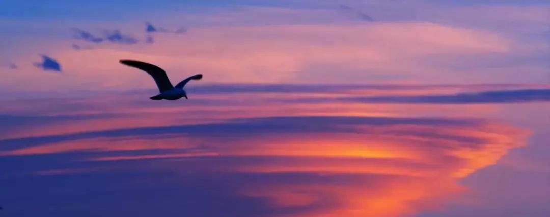 歌唱祖国的歌曲有哪些?(歌唱祖国的新歌有哪些) 祖国 歌曲 第1张