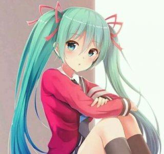 ​初音未来那首很火的歌(初音未来 甩葱歌mv)