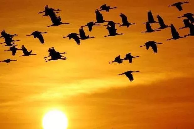 红色歌曲有哪些?(红色经典歌曲500首)  第11张