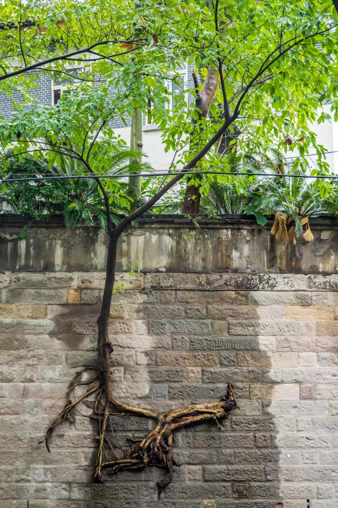 留下一路美丽的传说是什么歌曲(有一个美丽的传说是什么歌)  第2张