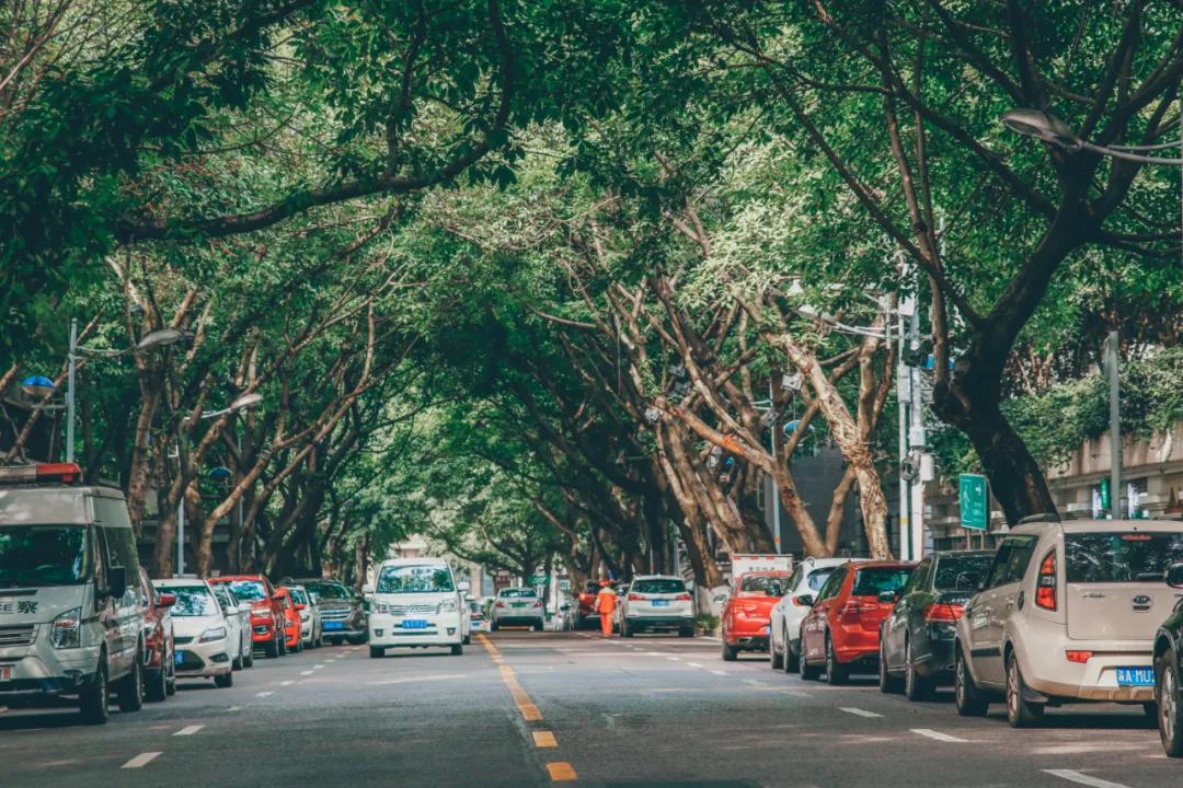 留下一路美丽的传说是什么歌曲(有一个美丽的传说是什么歌)  第3张