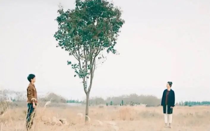 谁的青春不迷茫插曲（有关于青春的歌曲推荐）