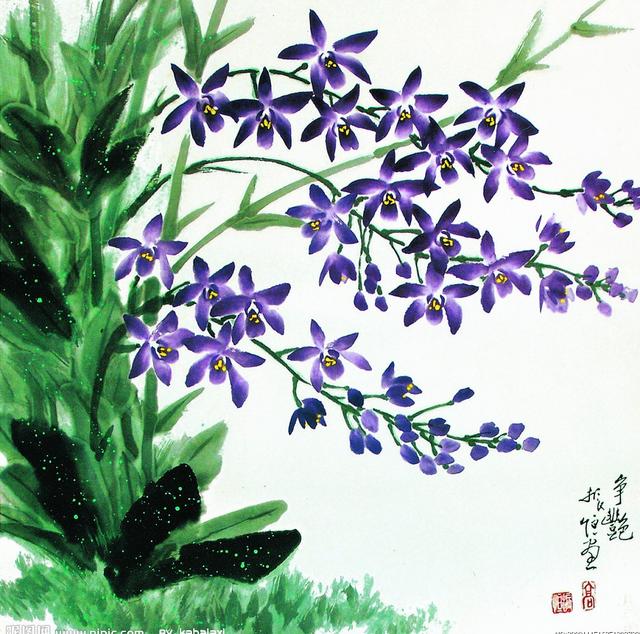 许巍十首最经典歌曲（许巍的歌空谷幽兰一念净心）(6)