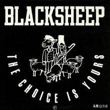 年度最佳说唱嘻哈（嘻哈经典必听100首经典说唱歌曲）(14)