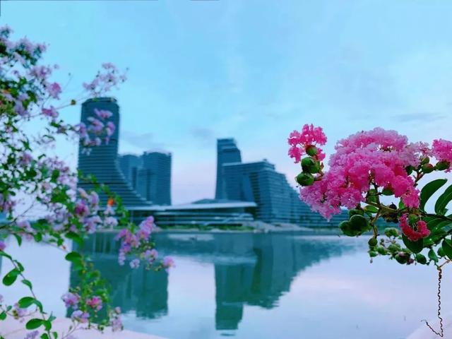 厦门六中合唱团所有歌曲（厦门六中合唱团新歌首发）(17)