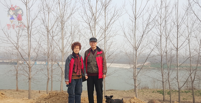 歌词当你老了头发白了是什么歌(当你老了,头发白了是什么歌)  第9张