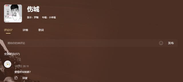 许嵩所有被抄袭过的歌曲（最近爆红单曲被扒抄袭许嵩）(6)