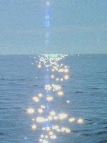 漂洋过海来看你原唱(一生至少要看一次大海)