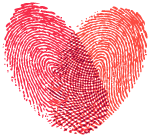 足球的歌曲有哪些(好听的足球歌曲)  第5张