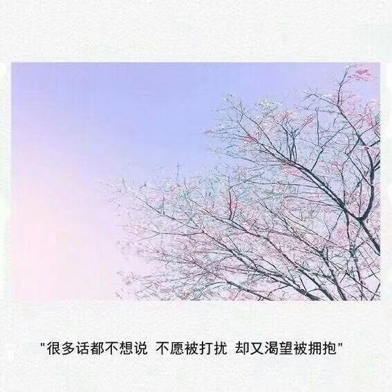 其实什么都没有歌词(其实什么都没有完整版) 完整版 第3张