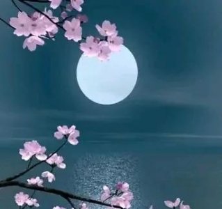 ​思念的歌曲有哪些(歌词里有思念的歌)