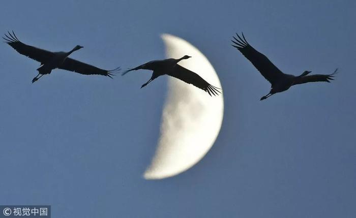 网络爆火歌曲《讲真的》背后故事曝光：你是我戒不掉的鬼迷心窍