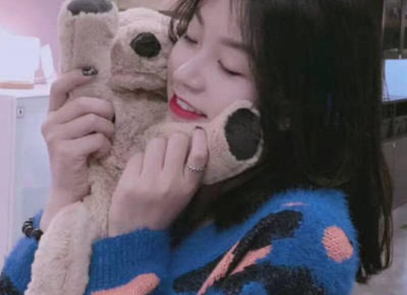 风雨哈佛路简介英文（风雨哈佛路手抄报英文）