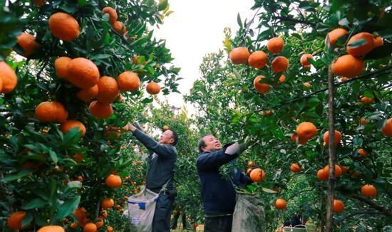 什么之恋歌曲(歌名叫什么恋的歌曲)  第3张