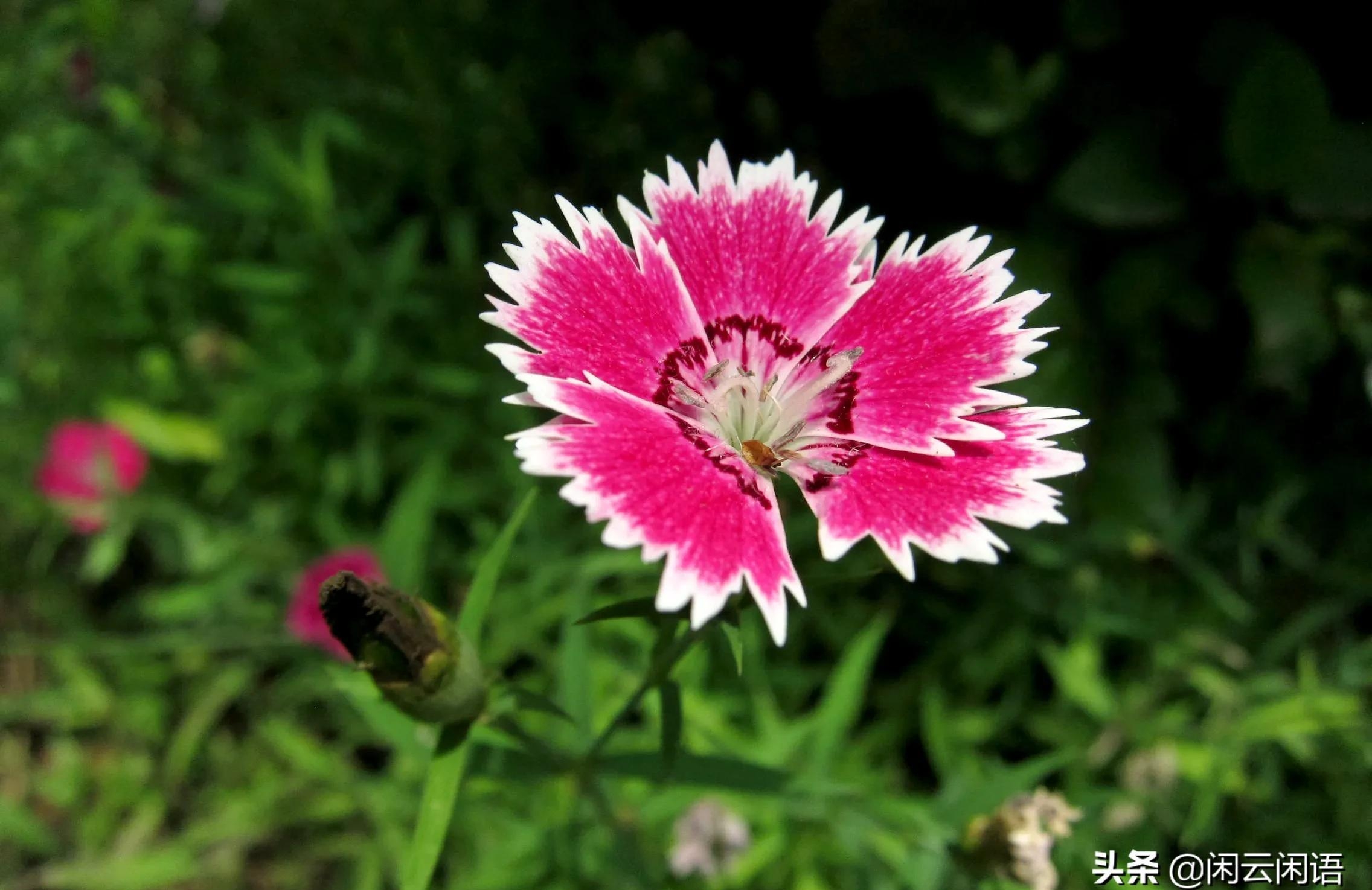 歌曲原来你什么都不想要(原来你什么都不想要歌曲含义) 歌曲 第1张