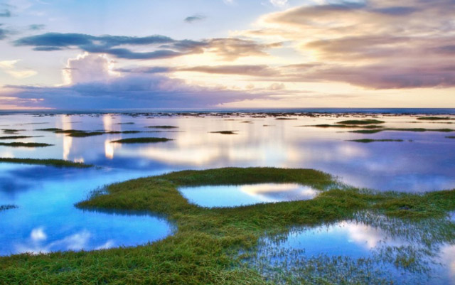 高品质的背景音乐有哪些 好听的背景音乐排行榜前十名 相信很多小伙伴都知道。如果选择一首令人印象深刻的背景音乐能够加深别人对于视频的印象，在听到高潮的时候还能够对应的想到其中的视频片段，今天的小编给大家整理出来了好听的背景音乐排行榜前十名，快来和小编一起看看吧。 1.《Hero's Theme》 《Hero's Theme》曲子的旋律充满了激昂，意为“英雄之魂”，由Steven Burke工作室制作，出自xbox中游戏卡美奥，在中间激情澎湃的配乐好像在述说一位英雄的故事，其中的低沉部分更像是英雄最后的坚毅与不饶。 2.《Fade》 《Fade》这首曲子是非常能够创造氛围的，他阴沉和激昂的旋律不断充斥我们的耳道，可以节选一部分作为情感作品的bgm，节选一部分用于情绪高昂的作品也是很不错的，总的来说是首全能的bgm。 3.《觉醒》 日本热血动漫家庭教师中之中有一段插曲，叫做《觉醒》，是来自佐桥俊彦编曲，可以算得上是热血动漫之中的一首神曲，逐渐加快的节奏仿佛述说着主角即将展开表演。 4.《罗密欧与朱丽叶》 《罗密欧与朱丽叶》这旋律缓慢，有包含了韵味，蕴含着满满的优美的气息，曲子的旋律仿佛一个矜持温柔的少女，仿佛是少女带着丝丝哀怨的诉说。虽有哀怨，却不曾有憎恨；虽带忧愁，却不做声嘶力竭的呼喊。 5.《隔岸》 《隔岸》曲子之中的旋律向我们展示出来了一堆正在暗恋男子的一个女子内心活动，在这之中女子的心酸悲伤体现的淋漓尽致，让人十分感动惋惜，使得无数人得到了共鸣。 6.《FAIRY TAIL》 《FAIRY TAIL》同样也是充满了热血沸腾的旋律，节奏舒缓有度，轻而易举的把所有听众带入其中，将动漫中的热血精神传达给每一位听众，整首音乐都是非常燃的。 7.《Go time》 《Go time》来自新西兰作家马克·皮特给英雄联盟所创作出来的电子音乐，这首曲子的旋律是充满了气势的，游戏竞技中加上这首音乐仿佛像开关一样充满激情。 8.《克罗地亚狂想曲》 《克罗地亚狂想曲》这首曲子来自赫吉克和马克西姆·姆尔维察一同创作出来的一首曲子，整首曲子的旋律是非常大气的，通过演奏描述克罗地亚在经历过战争后的悲壮，也拥激昂高亢的旋律来展现了深处战争的克罗地亚人民充满了坚韧不拔的意志。 9.《Wicked wonderland》 《Wicked wonderland》这首曲子带抖音中被广泛使用，关于“变脸”的视频不知道先伙伴是否有印象，或者瞬间黑化、或者瞬间变装都会选择这首曲子，视频前后变化很大。 10.《神秘园之歌》 《神秘园之歌》这首曲子在美国Billboard音乐排行榜长达一年都未曾掉下去，曲子中是由钢琴和其他乐器配合的天衣无缝，乐曲舒缓柔美，充满了忧郁与伤感，不经意流露出些许的忧愁，令人沉醉于其中。 以上就是的小编给大家整理出来的好听的背景音乐排行榜前十名，希望对大家有所帮助。