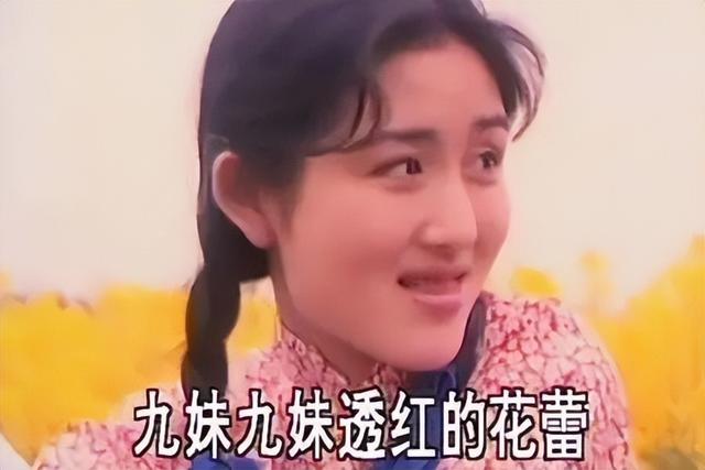 九十年代大陆的流行歌曲（90年代的大陆流行歌曲）(4)