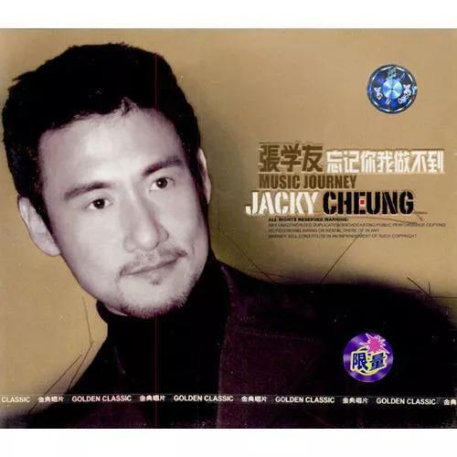 十大好听的经典歌曲张学友（好歌就怕沉那些沧海遗珠的冷门歌曲）(8)