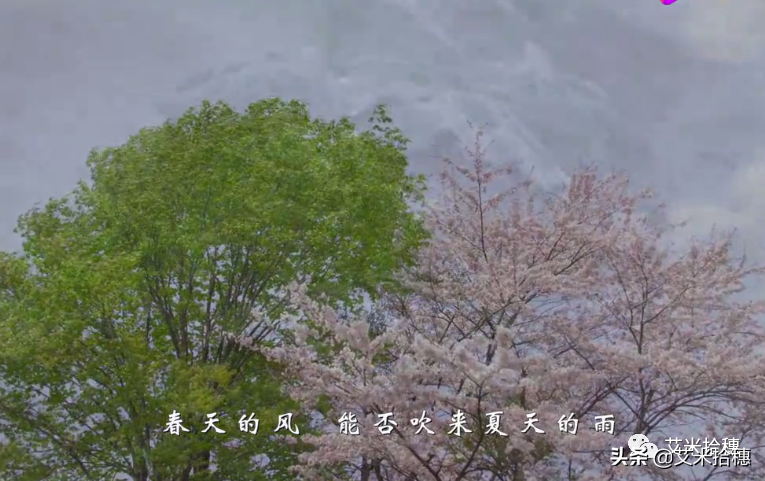 热门歌曲有哪些(热门歌曲有哪些2020年的) 第5张