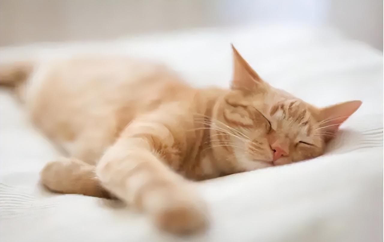 听什么歌曲能快速入睡(听什么音乐快速入睡) 歌曲 音乐 第1张