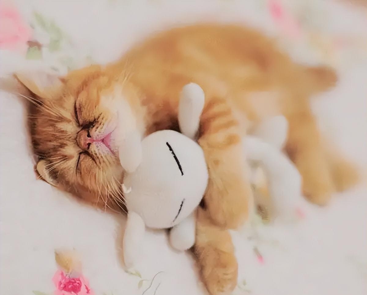 听什么歌曲能快速入睡(听什么音乐快速入睡) 歌曲 音乐 第3张