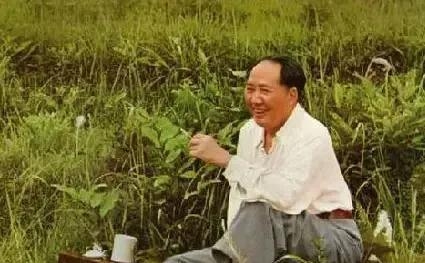 悼念逝者的歌曲有哪些(怀念逝者的歌曲) 逝者 歌曲 第3张