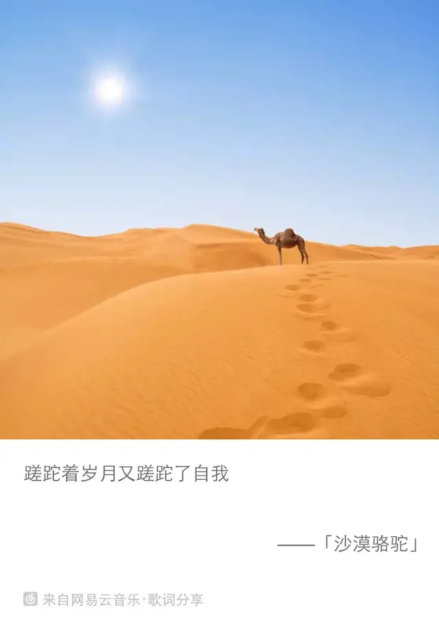 什么魑魅魍魉歌词的歌曲(歌曲中有魑魅魍魉的歌) 歌曲 第8张