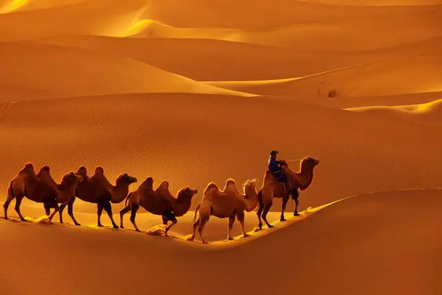 什么魑魅魍魉歌词的歌曲(歌曲中有魑魅魍魉的歌) 歌曲 第4张