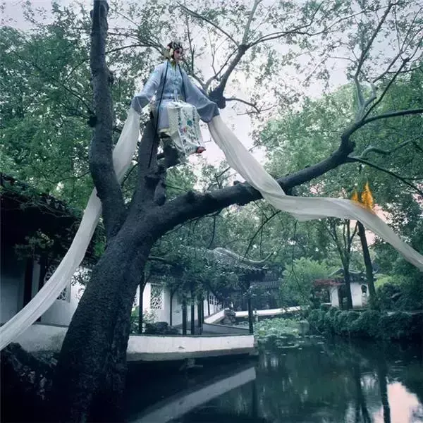 相见恨晚的歌曲有哪些(催人泪下的歌曲相见恨晚) 歌曲 第8张