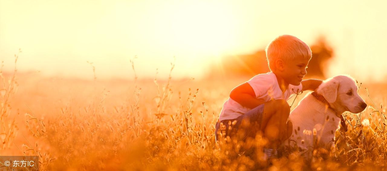 寂寞的鸭子是什么歌曲(寂寞的鸭子歌词)  第2张