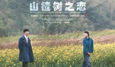 ​山楂树之恋歌曲表达了什么(山楂树之恋歌曲表达了什么意思)